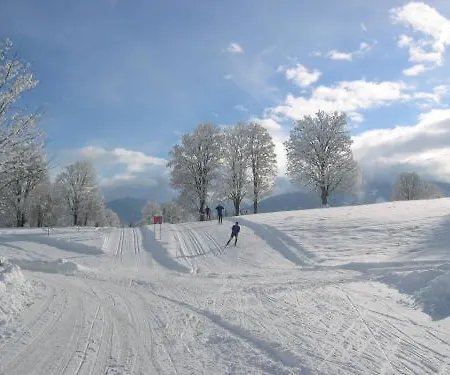 Apartahotel Alpenbad Ramsau am Dachstein