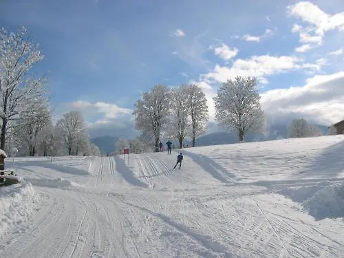 Lägenhetshotell Alpenbad Ramsau am Dachstein
